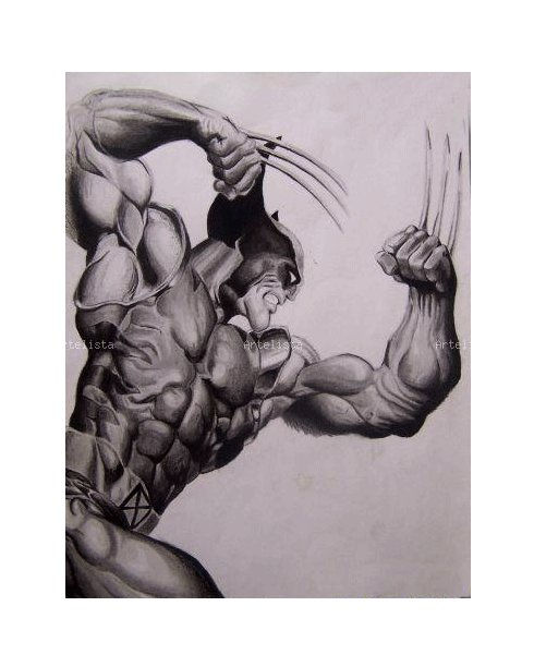 wolverine