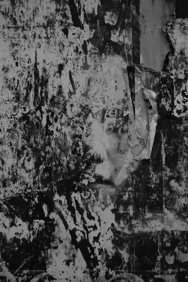 ROSTRO XVII