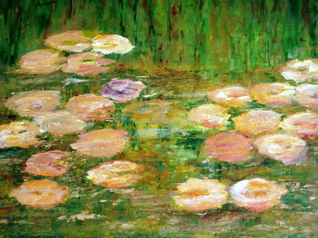 Nenufares de colores