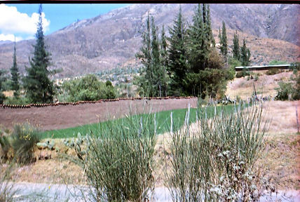 Sierra