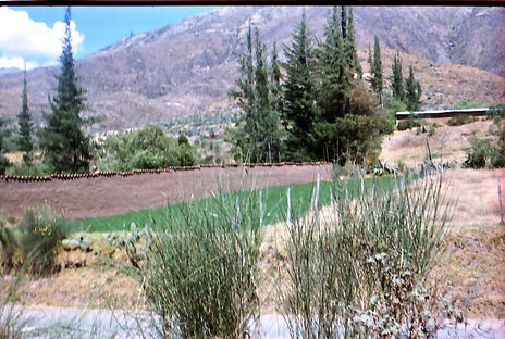 Sierra
