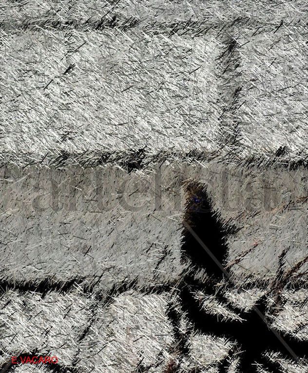SOMBRAS