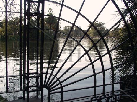 Radial