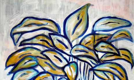 Plantas y flores