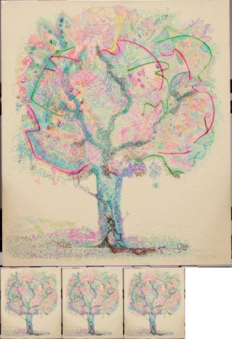 arbol
