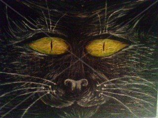 El Gato negro Oil Canvas Animals