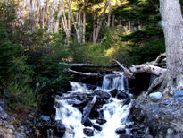 Tierra del Fuego