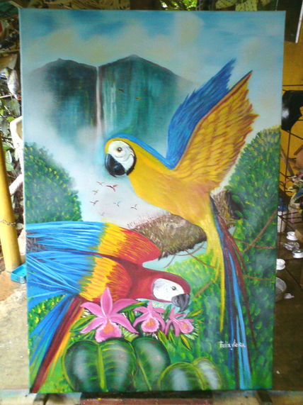 Guacamayas