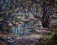 Reflejos en el arroyo
