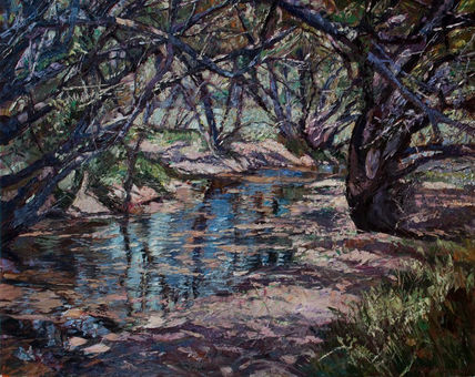 Reflejos en el arroyo