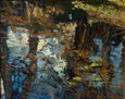 Reflejos en el estanque