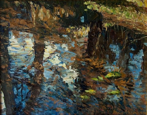 Reflejos en el estanque