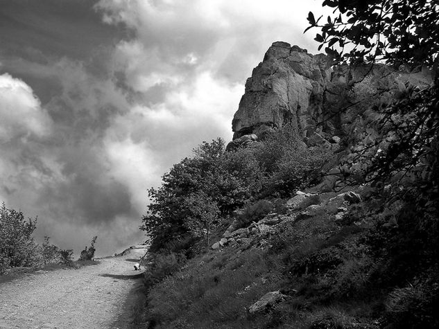 Peñasco 30x40 Naturaleza Blanco y Negro (Digital)