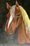 Caballo bayo