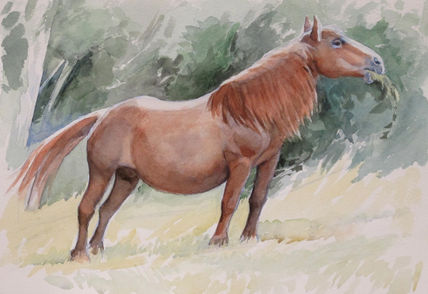 La Canela
