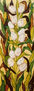 Tulipanes blancos 1
