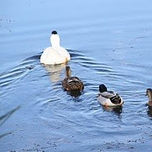 fotos thumbnail 2