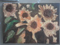 girasol