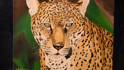 Yaguarete- animales...
