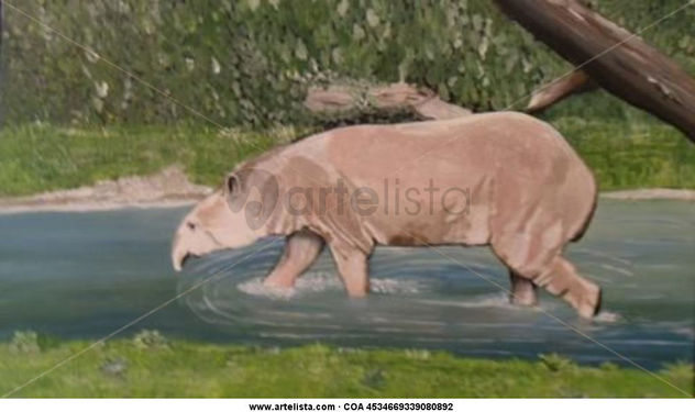 TAPIR