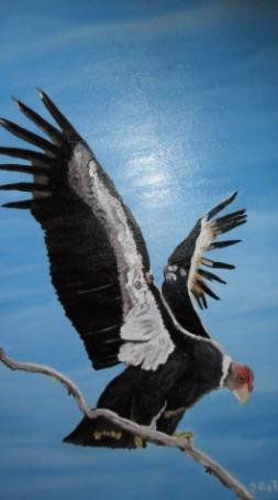 CONDOR