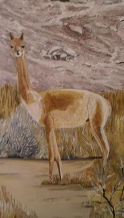 VICUÑA Acrylic Canvas Animals