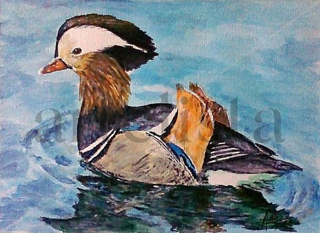 Pato mandarin