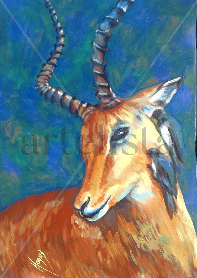 ANTILOPE