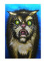 Gato bravo
