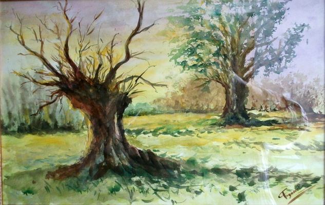 DOS ARBOLES  DISTINTOS.....(como la vida  ) Watercolour Paper Landscaping