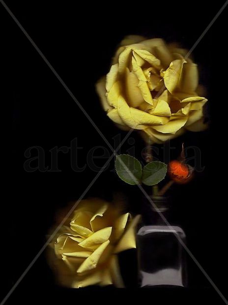 Rosas