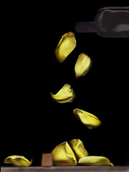 Petalos