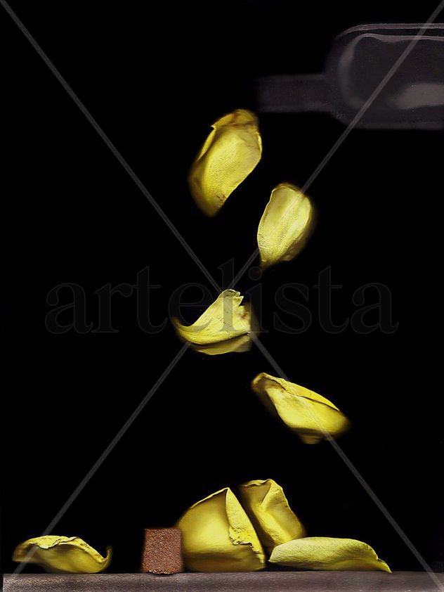 petalos