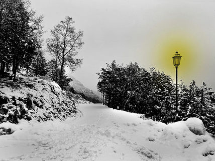 Rasos de nieve