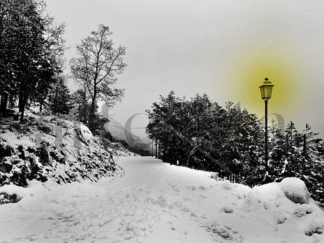 Rasos de nieve