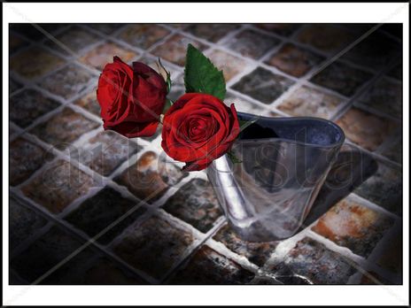 2 rosas