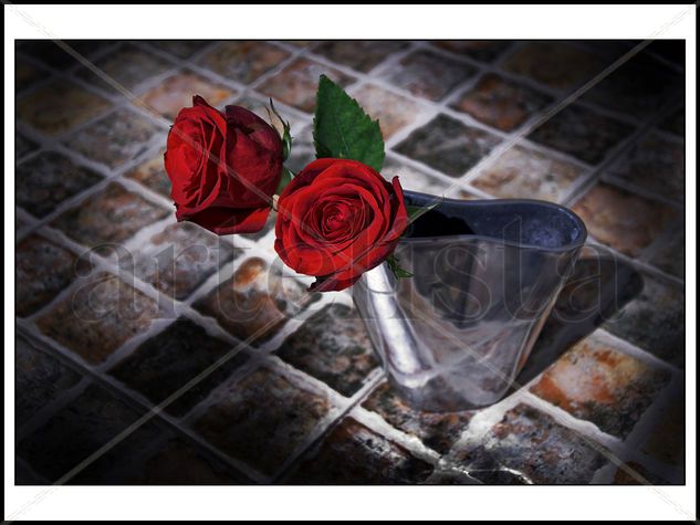 2 rosas Still lifes Color (Digital)