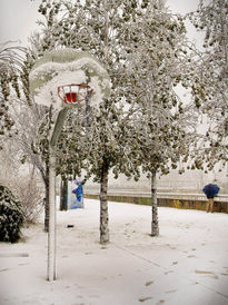 Basket y nieve