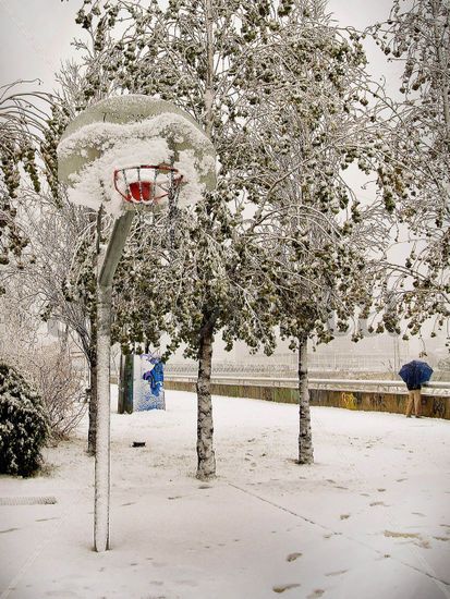 basket y nieve Photojournalism and Documentary Color (Digital)