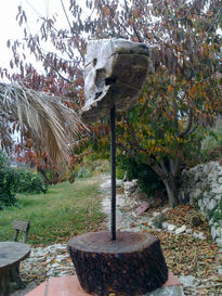 Piedra acero y pino...