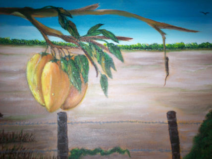 Mangoes