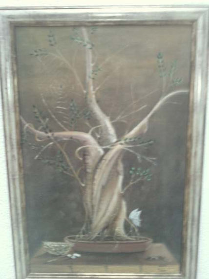 Bonsai