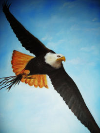 Aguila volando