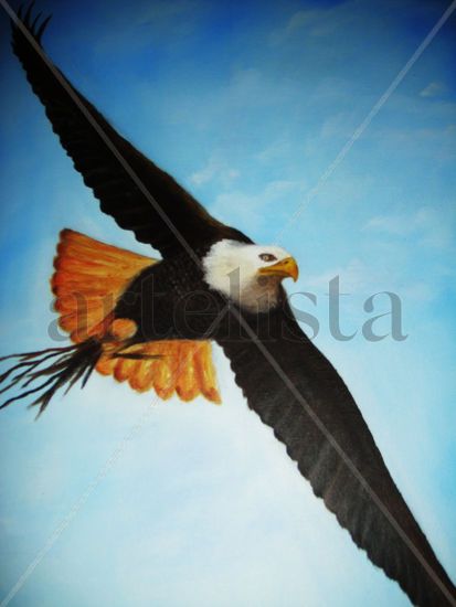 aguila volando Oil Canvas Animals