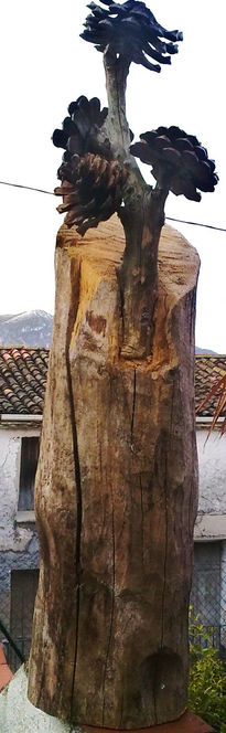 Bosque alepensis...