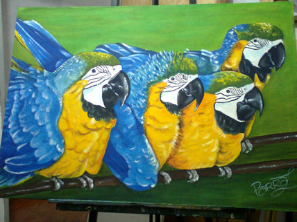 Guacamayas
