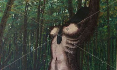 Desnudos