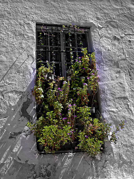 ventana Arcos
