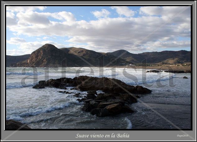 Suave viento en la bahía Nature Color (Digital)