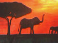 elefante africano